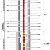 Motorway standard upgrade for London-Peterborough A1?