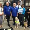 31,000 sign Guide Dogs’ pavement parking petition