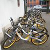 Work with us, authorities urge dockless bike hire operators