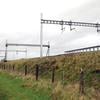 Grayling kills-off electrification plans