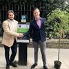 Kensington and Chelsea swaps parking meters for trees