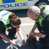 Dog rescued from hot car by police