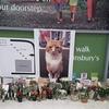 Ely Cathedral celebrates life of Garfield, the Sainsbury’s cat