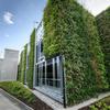 A green car park grows in Slough