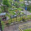 Rail station greening vital for local biodiversity, says report