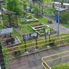 Station greening vital for biodiversity says Community Rail Network