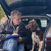 Dogs feel more relaxed in electric cars