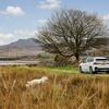 BMW supports National Parks projects