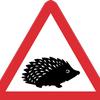 Simpler road signs to protect small animals