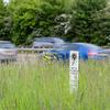 Wildflower verges on TfL’s road network doubles