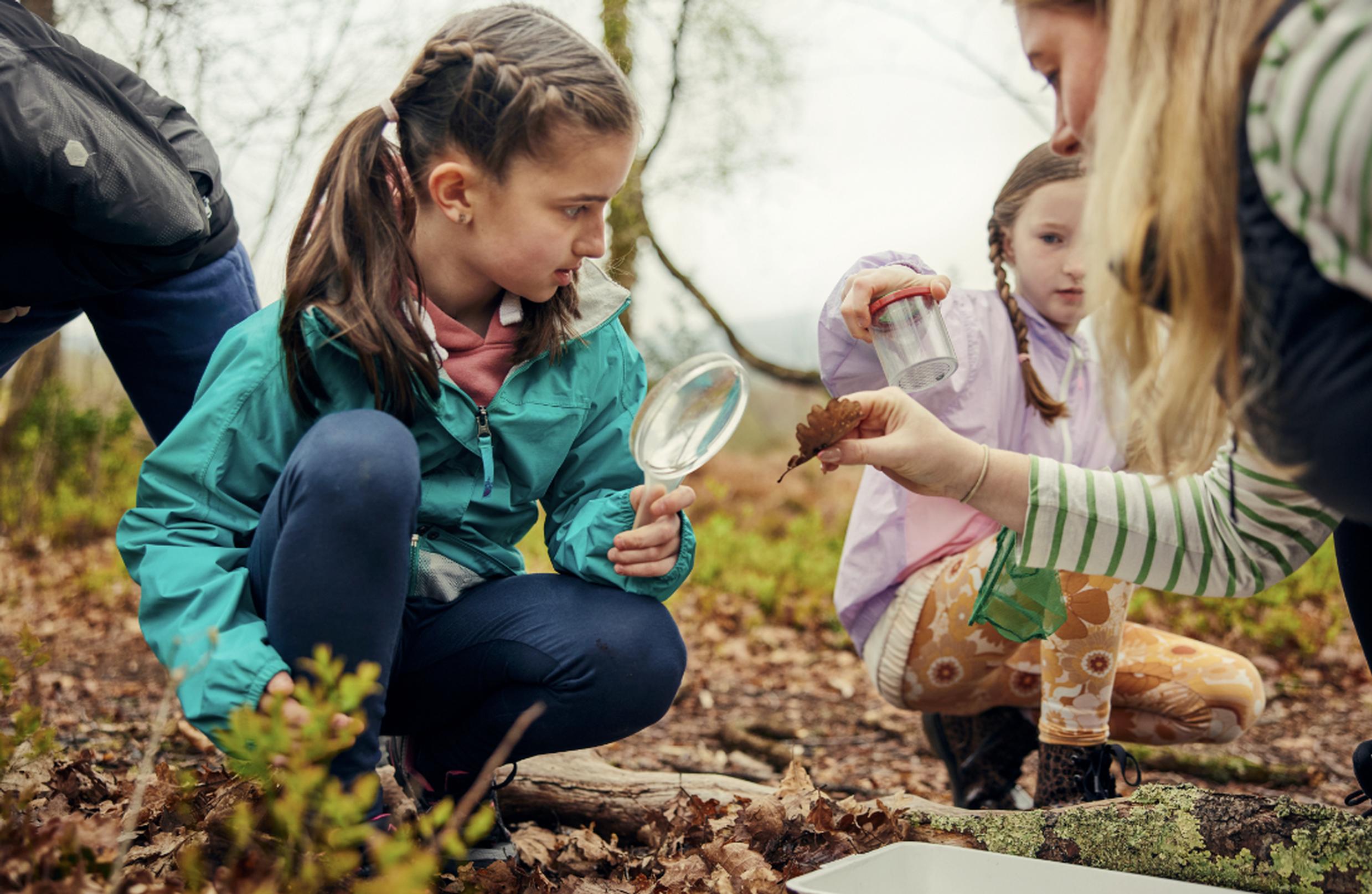 Children Recharge in Nature