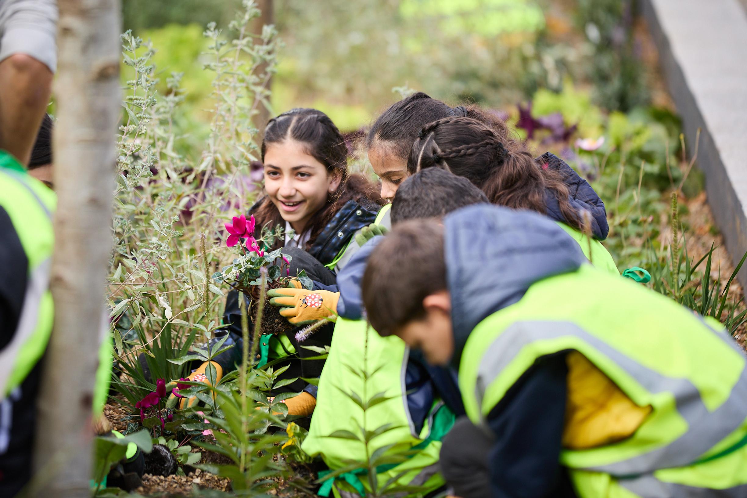 School children put the final plants in the ground to mark the completion of the Marylebone Flyover rain garden scheme. PIC: Marble Arch London BID & Michael Pilkington