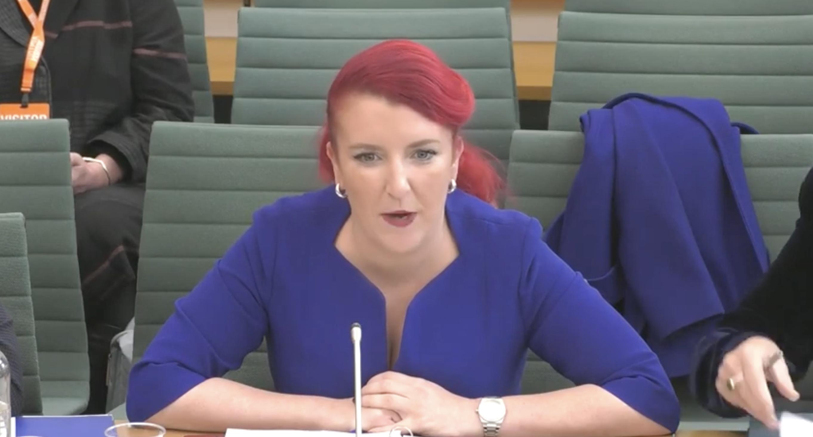 Louise Haigh speaks to the Transport Select Committee