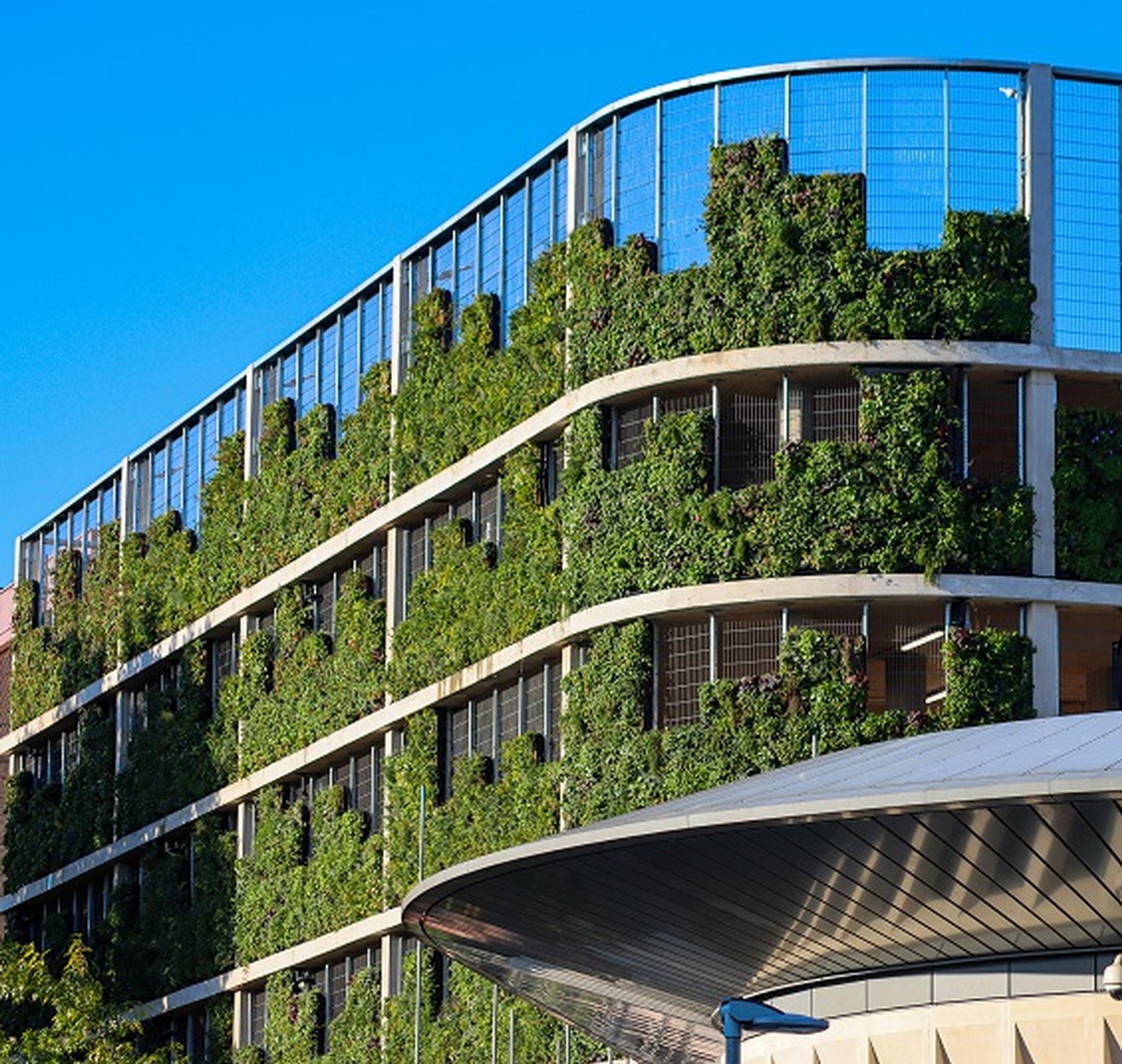 The Forum’s vertical garden is completed