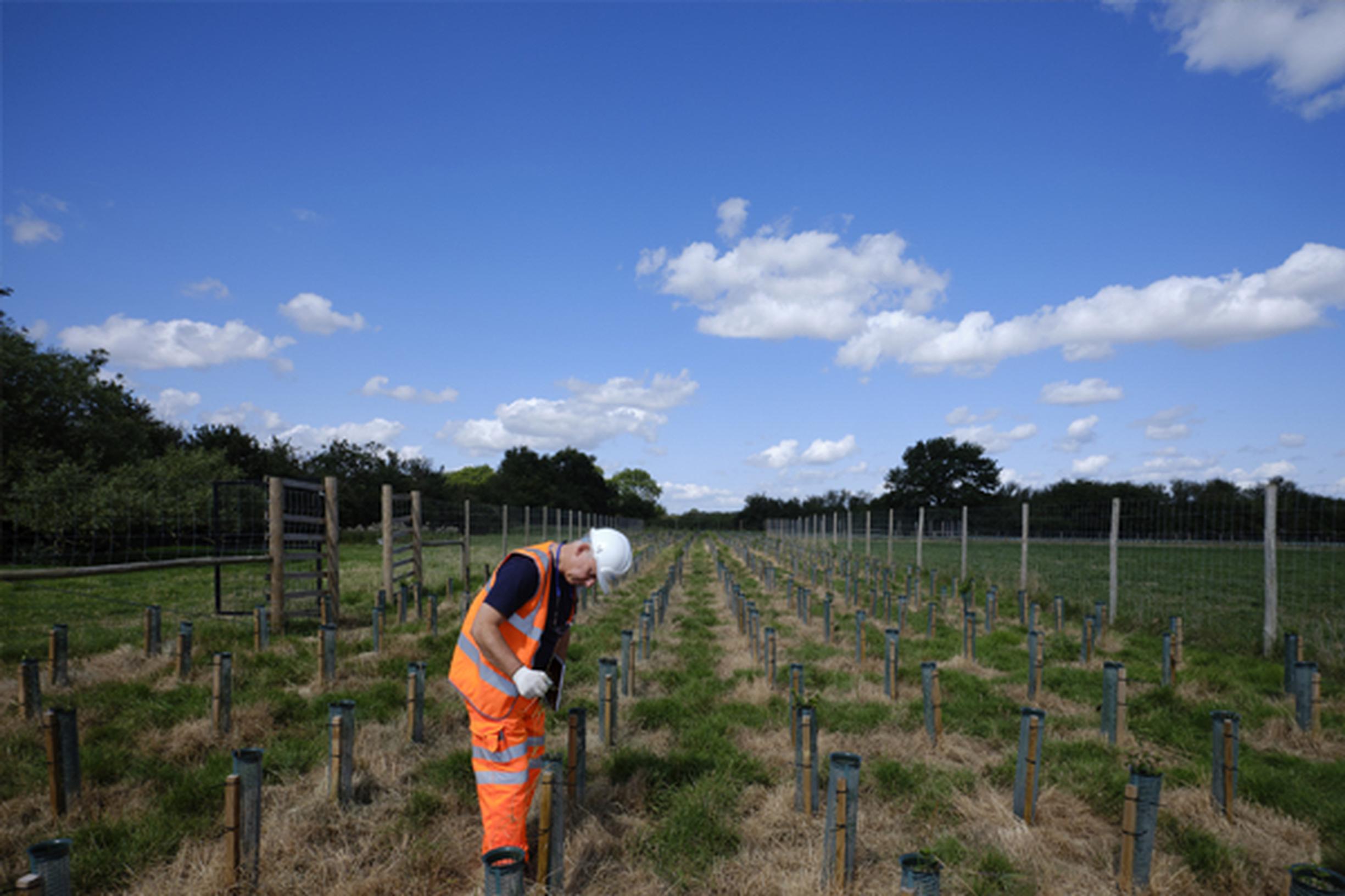 Cambridgeshire calls on East West Rail to mitigate impact of new line on wildlife