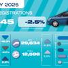 EV share rises despite contracting market